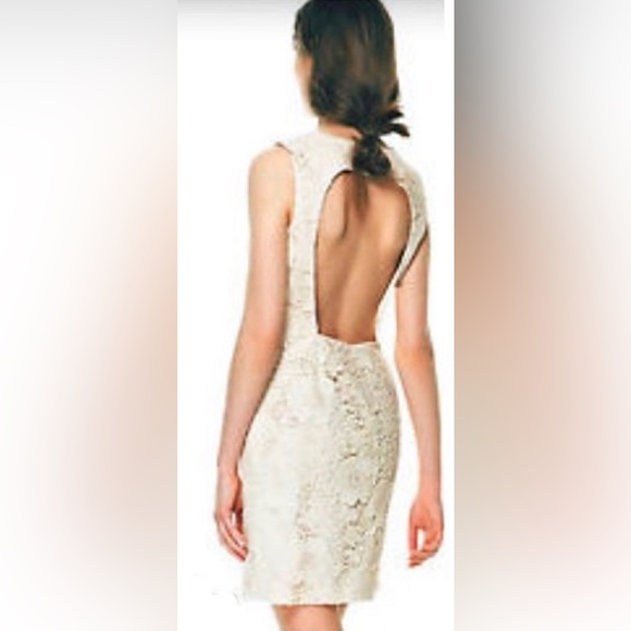 Zara Sleeveless Open Back Crochet Lace Mini Sheath Dress - Picture 5 of 7